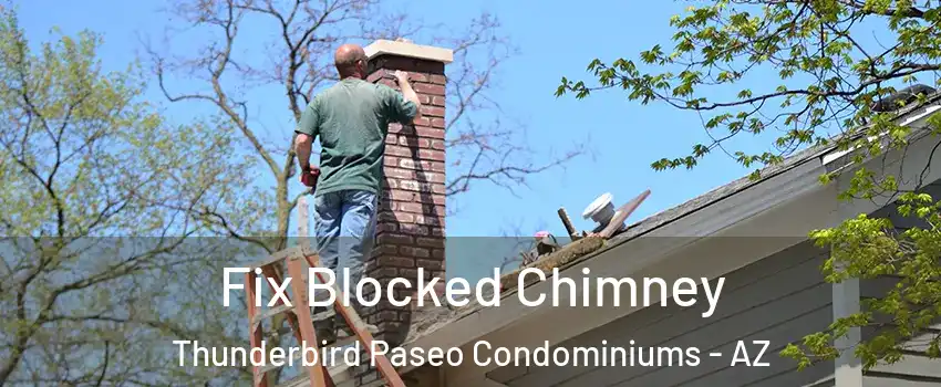 Fix Blocked Chimney Thunderbird Paseo Condominiums - AZ