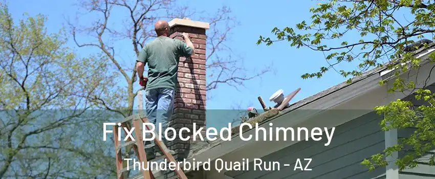 Fix Blocked Chimney Thunderbird Quail Run - AZ