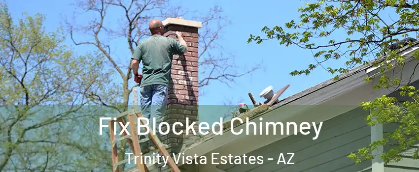 Fix Blocked Chimney Trinity Vista Estates - AZ
