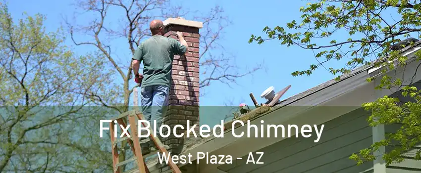 Fix Blocked Chimney West Plaza - AZ