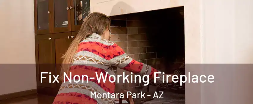 Fix Non-Working Fireplace Montara Park - AZ