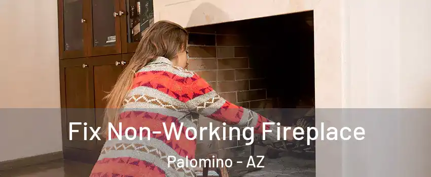 Fix Non-Working Fireplace Palomino - AZ