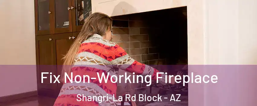 Fix Non-Working Fireplace Shangri-La Rd Block - AZ