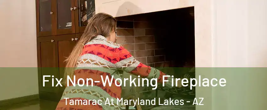 Fix Non-Working Fireplace Tamarac At Maryland Lakes - AZ