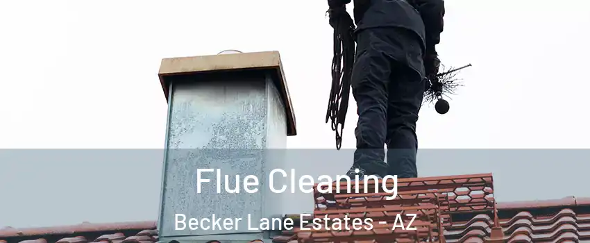 Flue Cleaning Becker Lane Estates - AZ