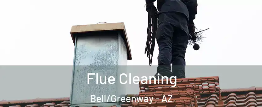 Flue Cleaning Bell/Greenway - AZ