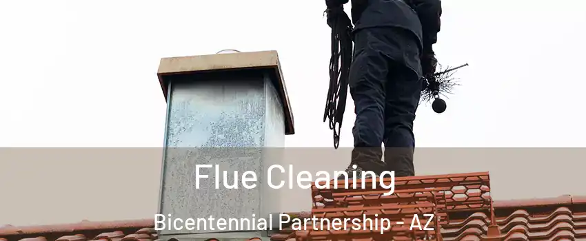 Flue Cleaning Bicentennial Partnership - AZ