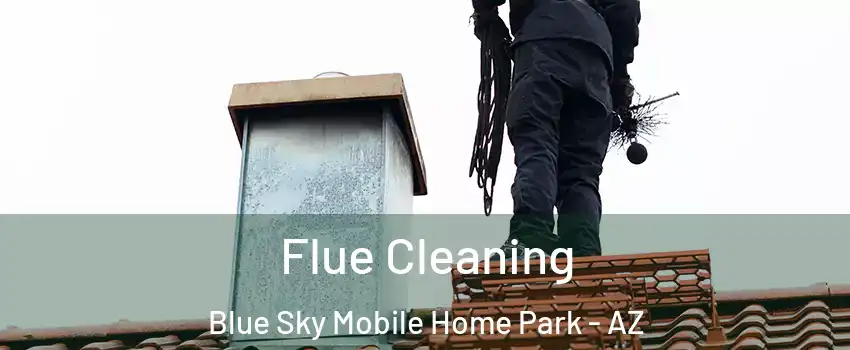 Flue Cleaning Blue Sky Mobile Home Park - AZ