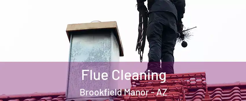 Flue Cleaning Brookfield Manor - AZ
