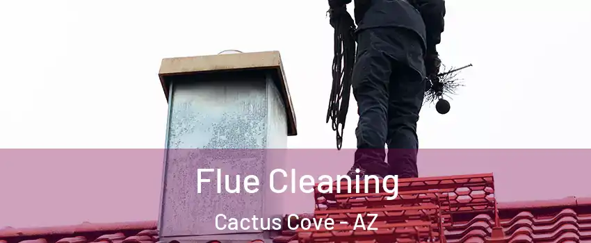 Flue Cleaning Cactus Cove - AZ