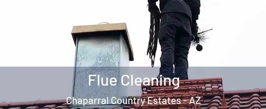 Flue Cleaning Chaparral Country Estates - AZ