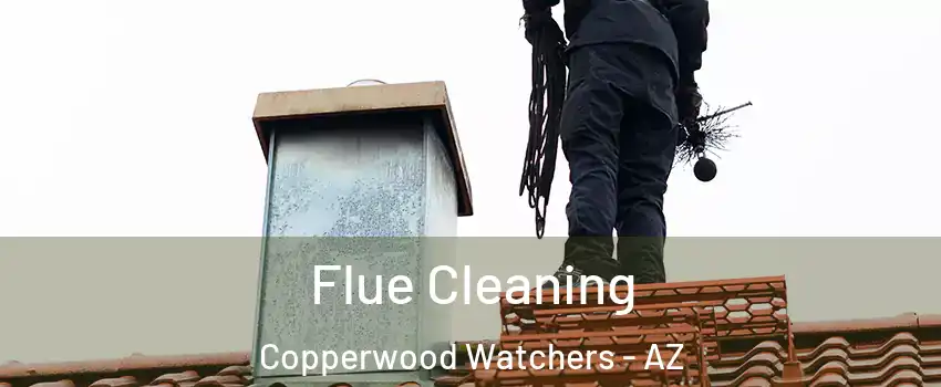 Flue Cleaning Copperwood Watchers - AZ