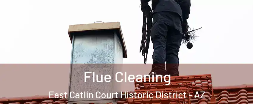 Flue Cleaning East Catlin Court Historic District - AZ