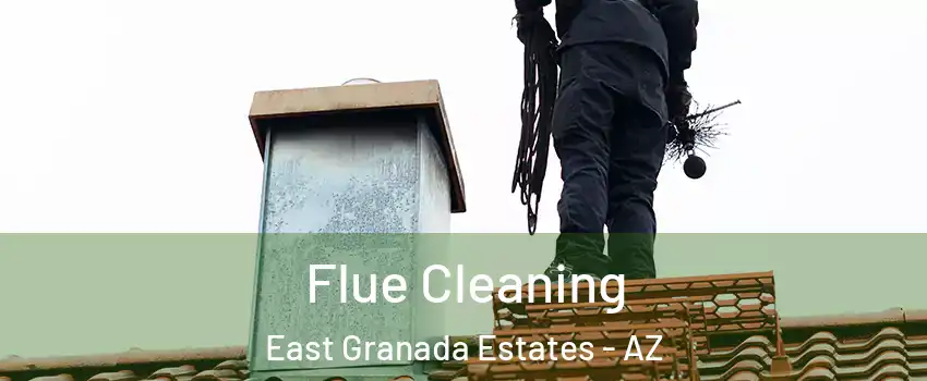 Flue Cleaning East Granada Estates - AZ