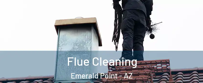 Flue Cleaning Emerald Point - AZ