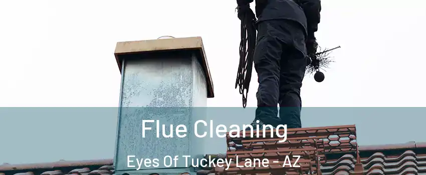 Flue Cleaning Eyes Of Tuckey Lane - AZ