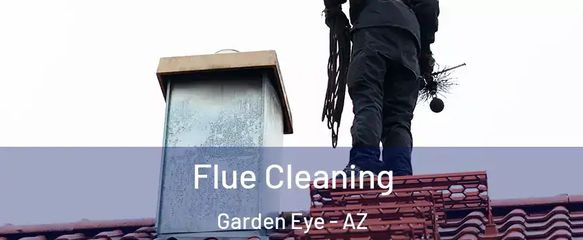 Flue Cleaning Garden Eye - AZ