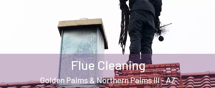 Flue Cleaning Golden Palms & Northern Palms III - AZ