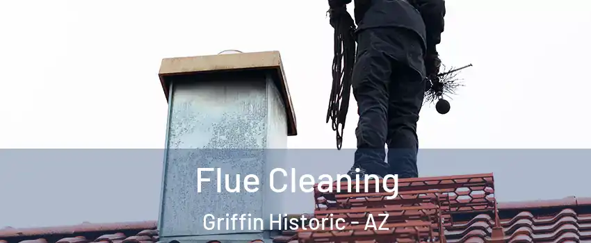 Flue Cleaning Griffin Historic - AZ