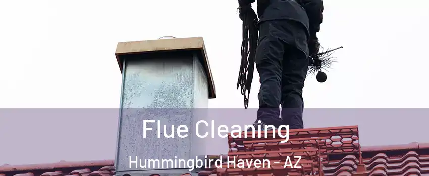 Flue Cleaning Hummingbird Haven - AZ