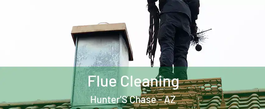 Flue Cleaning Hunter'S Chase - AZ