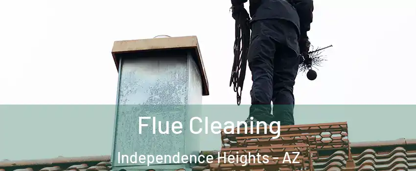 Flue Cleaning Independence Heights - AZ