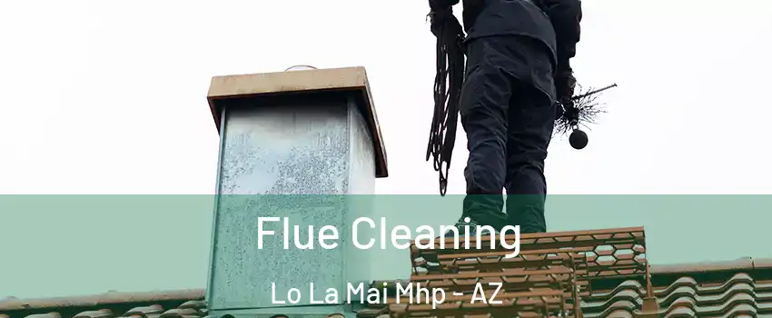 Flue Cleaning Lo La Mai Mhp - AZ