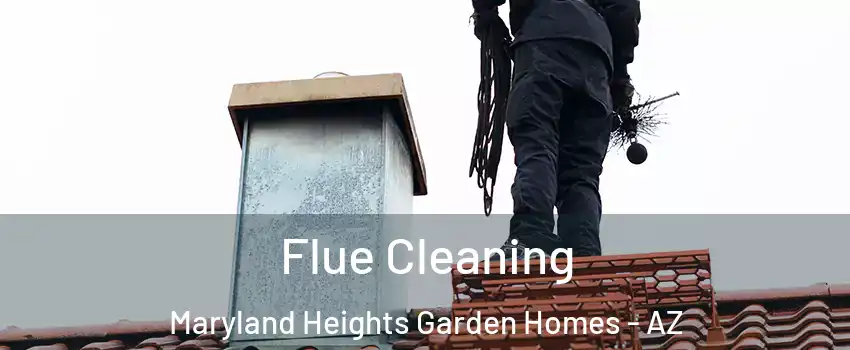 Flue Cleaning Maryland Heights Garden Homes - AZ