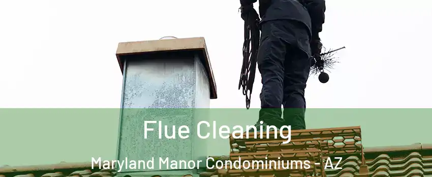 Flue Cleaning Maryland Manor Condominiums - AZ