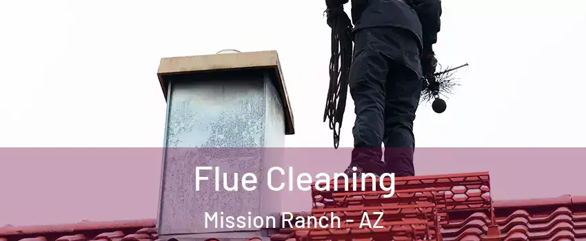 Flue Cleaning Mission Ranch - AZ