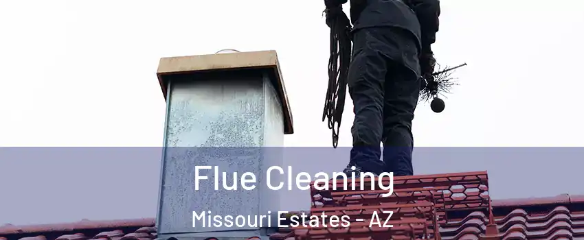 Flue Cleaning Missouri Estates - AZ