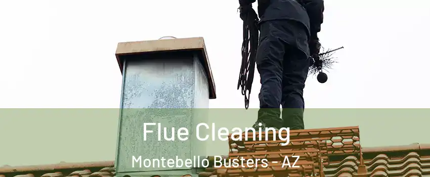 Flue Cleaning Montebello Busters - AZ
