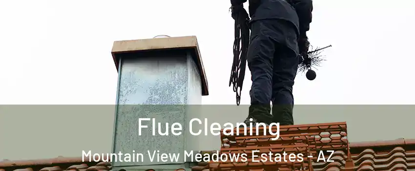 Flue Cleaning Mountain View Meadows Estates - AZ