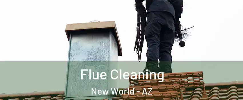 Flue Cleaning New World - AZ