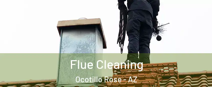 Flue Cleaning Ocotillo Rose - AZ