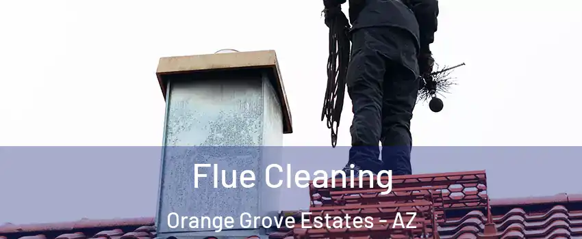 Flue Cleaning Orange Grove Estates - AZ