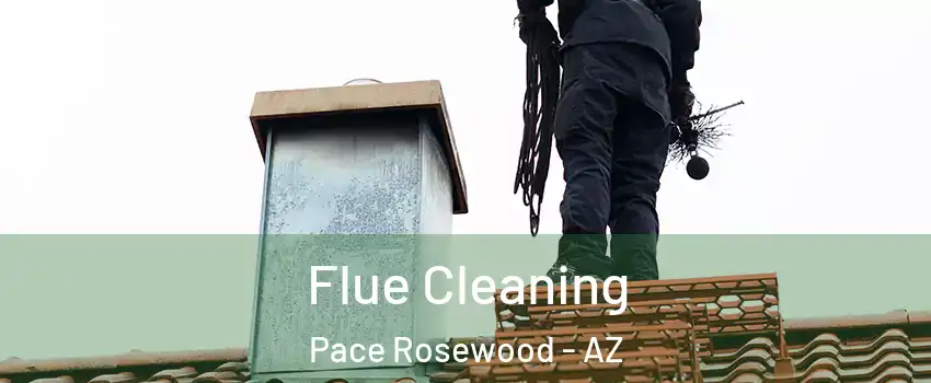 Flue Cleaning Pace Rosewood - AZ