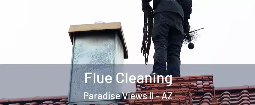 Flue Cleaning Paradise Views II - AZ