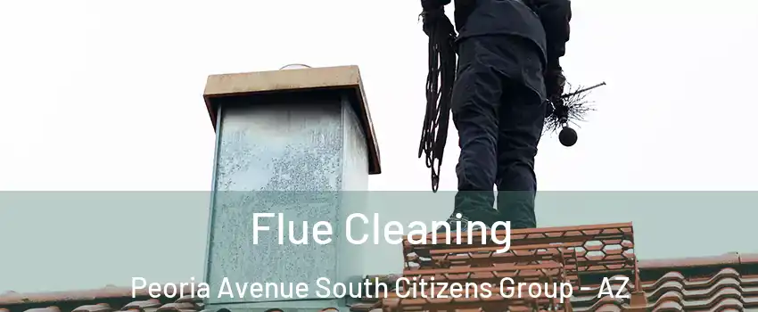 Flue Cleaning Peoria Avenue South Citizens Group - AZ