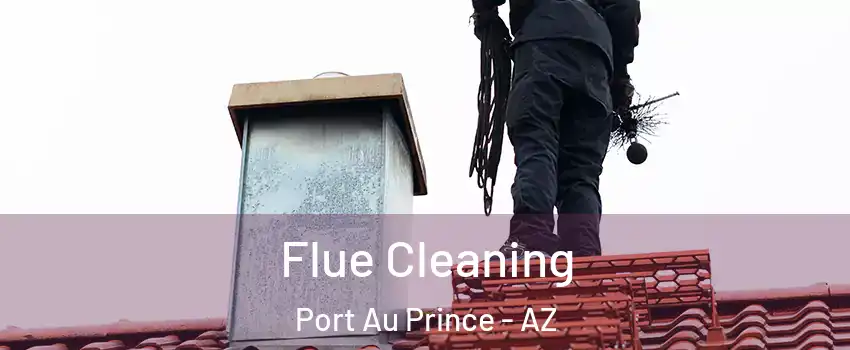 Flue Cleaning Port Au Prince - AZ