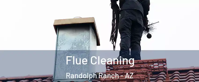 Flue Cleaning Randolph Ranch - AZ