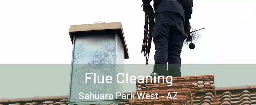 Flue Cleaning Sahuaro Park West - AZ