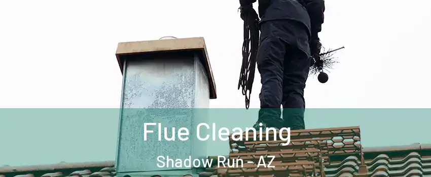 Flue Cleaning Shadow Run - AZ