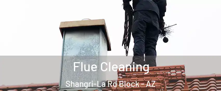 Flue Cleaning Shangri-La Rd Block - AZ