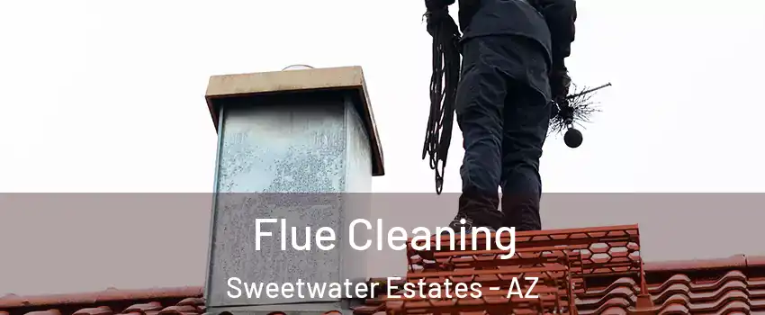 Flue Cleaning Sweetwater Estates - AZ
