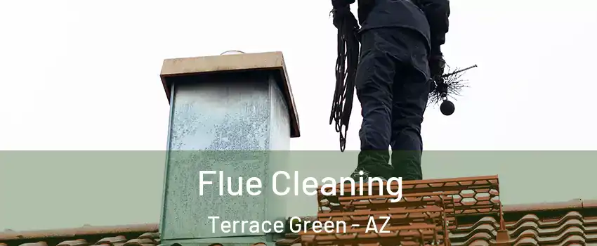 Flue Cleaning Terrace Green - AZ