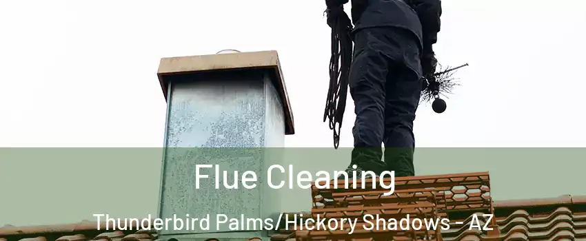Flue Cleaning Thunderbird Palms/Hickory Shadows - AZ