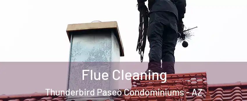 Flue Cleaning Thunderbird Paseo Condominiums - AZ