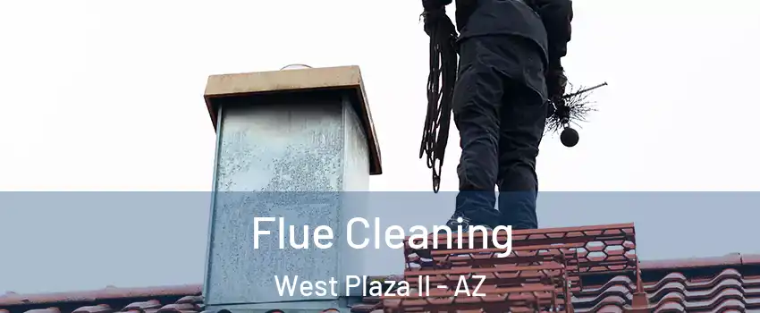 Flue Cleaning West Plaza II - AZ