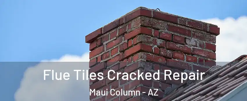 Flue Tiles Cracked Repair Maui Column - AZ